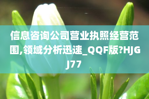 信息咨询公司营业执照经营范围,领域分析迅速_QQF版?HJGJ77