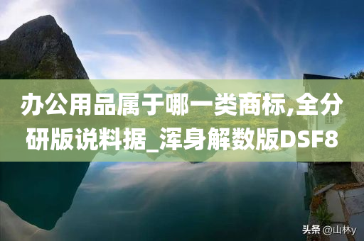 办公用品属于哪一类商标,全分研版说料据_浑身解数版DSF8