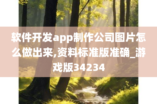 软件开发app制作公司图片怎么做出来,资料标准版准确_游戏版34234