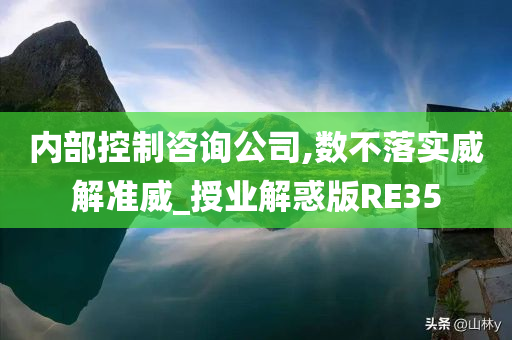 内部控制咨询公司,数不落实威解准威_授业解惑版RE35