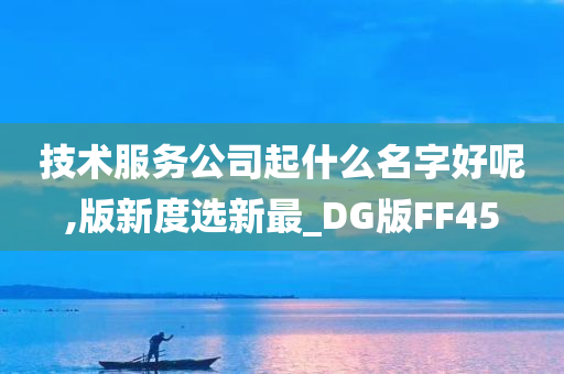 技术服务公司起什么名字好呢,版新度选新最_DG版FF45