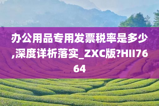 办公用品专用发票税率是多少,深度详析落实_ZXC版?HII7664