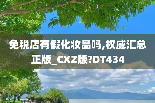 免税店有假化妆品吗,权威汇总正版_CXZ版?DT434