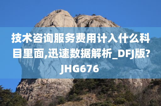 技术咨询服务费用计入什么科目里面,迅速数据解析_DFJ版?JHG676