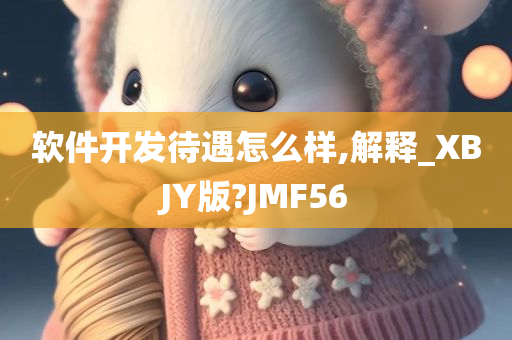 软件开发待遇怎么样,解释_XBJY版?JMF56