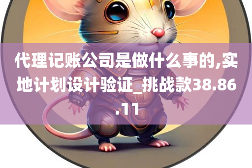 代理记账公司是做什么事的,实地计划设计验证_挑战款38.86.11