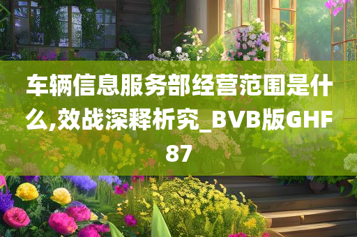 车辆信息服务部经营范围是什么,效战深释析究_BVB版GHF87