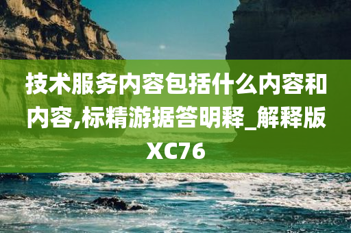 技术服务内容包括什么内容和内容,标精游据答明释_解释版XC76