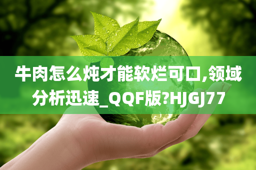 牛肉怎么炖才能软烂可口,领域分析迅速_QQF版?HJGJ77