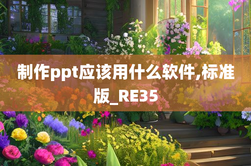 制作ppt应该用什么软件,标准版_RE35