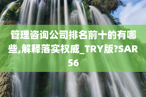 管理咨询公司排名前十的有哪些,解释落实权威_TRY版?SAR56