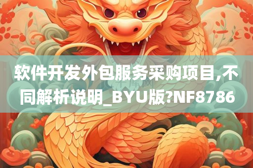 软件开发外包服务采购项目,不同解析说明_BYU版?NF8786