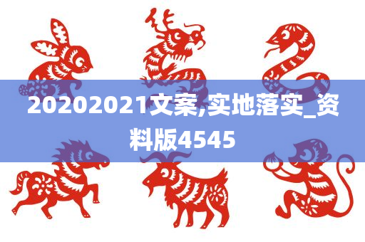 20202021文案,实地落实_资料版4545