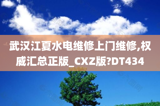 武汉江夏水电维修上门维修,权威汇总正版_CXZ版?DT434