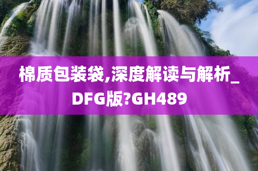 棉质包装袋,深度解读与解析_DFG版?GH489