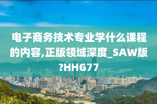 电子商务技术专业学什么课程的内容,正版领域深度_SAW版?HHG77