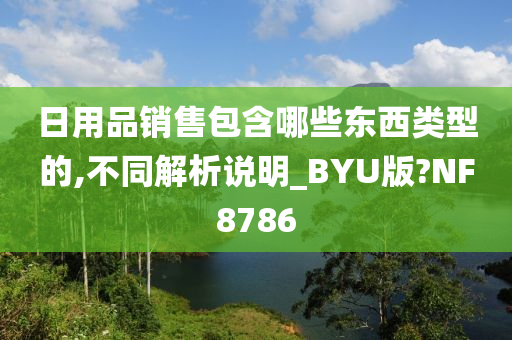 日用品销售包含哪些东西类型的,不同解析说明_BYU版?NF8786