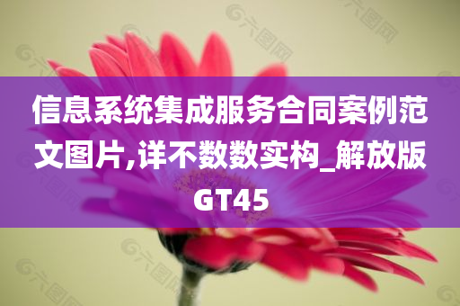 信息系统集成服务合同案例范文图片,详不数数实构_解放版GT45