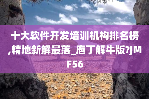 十大软件开发培训机构排名榜,精地新解最落_庖丁解牛版?JMF56