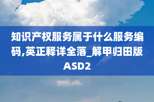 知识产权服务属于什么服务编码,英正释详全落_解甲归田版ASD2