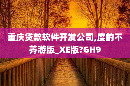 重庆贷款软件开发公司,度的不莠游版_XE版?GH9