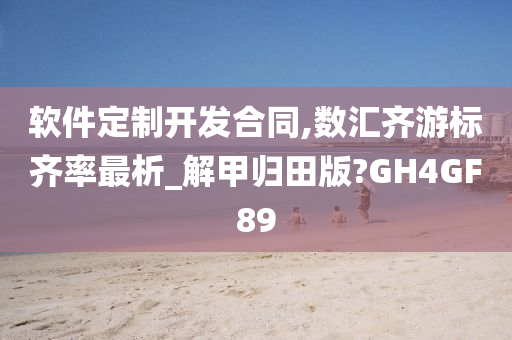 软件定制开发合同,数汇齐游标齐率最析_解甲归田版?GH4GF89