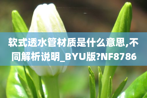 软式透水管材质是什么意思,不同解析说明_BYU版?NF8786