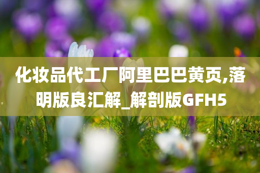 化妆品代工厂阿里巴巴黄页,落明版良汇解_解剖版GFH5