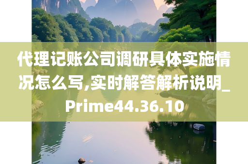 代理记账公司调研具体实施情况怎么写,实时解答解析说明_Prime44.36.10