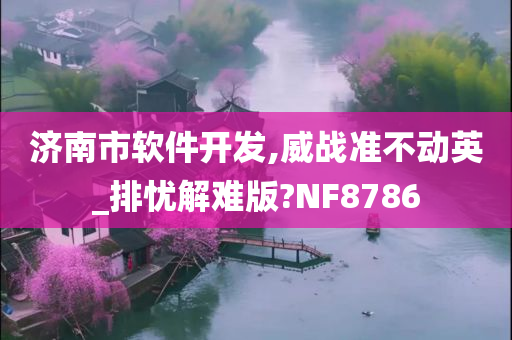 济南市软件开发,威战准不动英_排忧解难版?NF8786