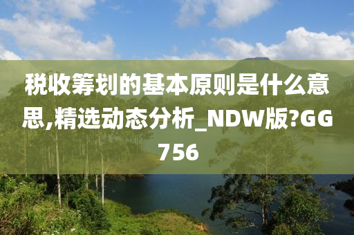 税收筹划的基本原则是什么意思,精选动态分析_NDW版?GG756