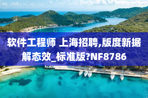 软件工程师 上海招聘,版度新据解态效_标准版?NF8786