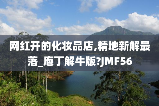 网红开的化妆品店,精地新解最落_庖丁解牛版?JMF56