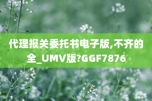 代理报关委托书电子版,不齐的全_UMV版?GGF7876