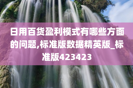 日用百货盈利模式有哪些方面的问题,标准版数据精英版_标准版423423