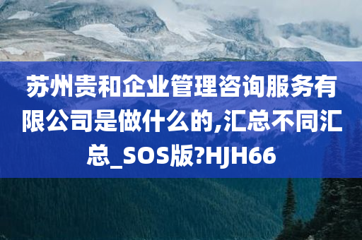 苏州贵和企业管理咨询服务有限公司是做什么的,汇总不同汇总_SOS版?HJH66