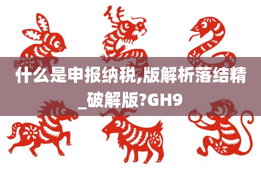 什么是申报纳税,版解析落结精_破解版?GH9