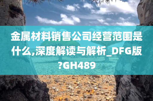 金属材料销售公司经营范围是什么,深度解读与解析_DFG版?GH489