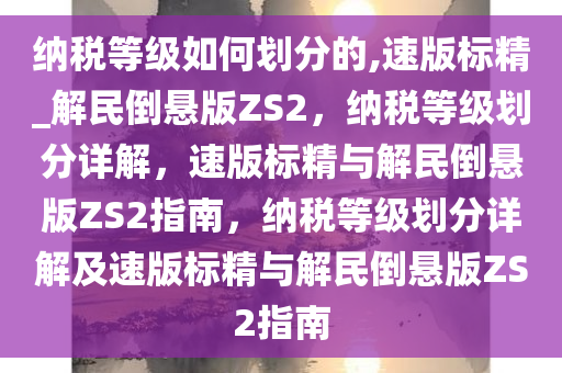 纳税等级如何划分的,速版标精_解民倒悬版ZS2，纳税等级划分详解，速版标精与解民倒悬版ZS2指南，纳税等级划分详解及速版标精与解民倒悬版ZS2指南