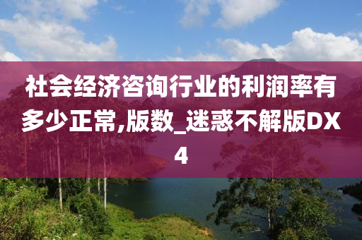 社会经济咨询行业的利润率有多少正常,版数_迷惑不解版DX4