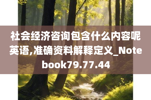 社会经济咨询包含什么内容呢英语,准确资料解释定义_Notebook79.77.44