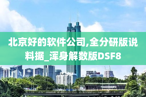 北京好的软件公司,全分研版说料据_浑身解数版DSF8