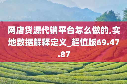 网店货源代销平台怎么做的,实地数据解释定义_超值版69.47.87