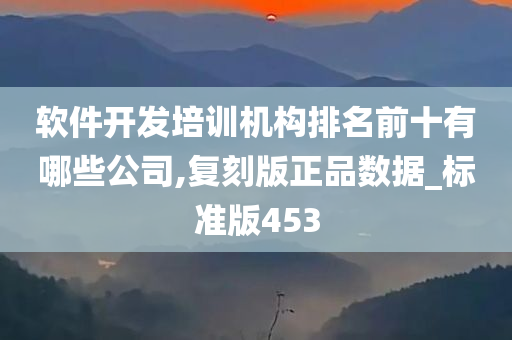 软件开发培训机构排名前十有哪些公司,复刻版正品数据_标准版453