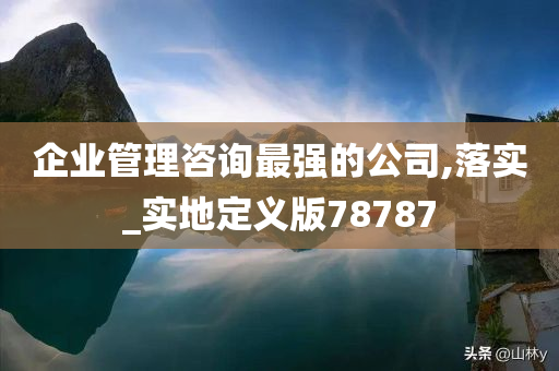 企业管理咨询最强的公司,落实_实地定义版78787