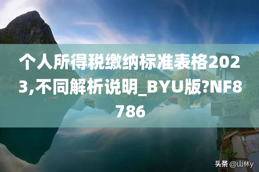 个人所得税缴纳标准表格2023,不同解析说明_BYU版?NF8786