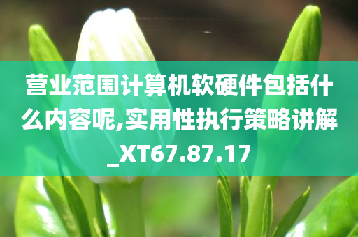 营业范围计算机软硬件包括什么内容呢,实用性执行策略讲解_XT67.87.17