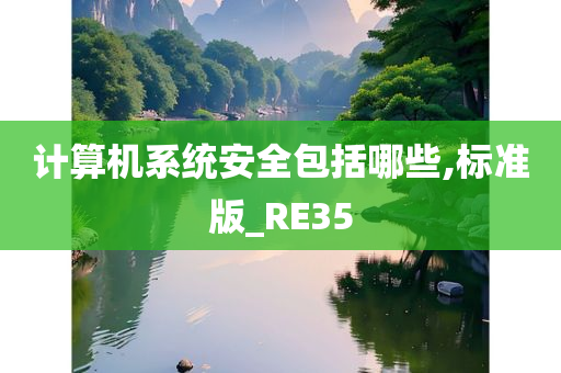 计算机系统安全包括哪些,标准版_RE35