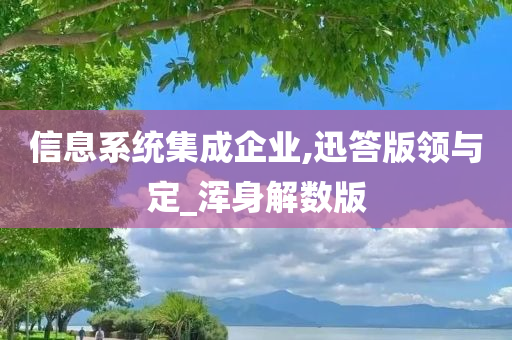 信息系统集成企业,迅答版领与定_浑身解数版