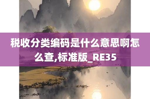 税收分类编码是什么意思啊怎么查,标准版_RE35